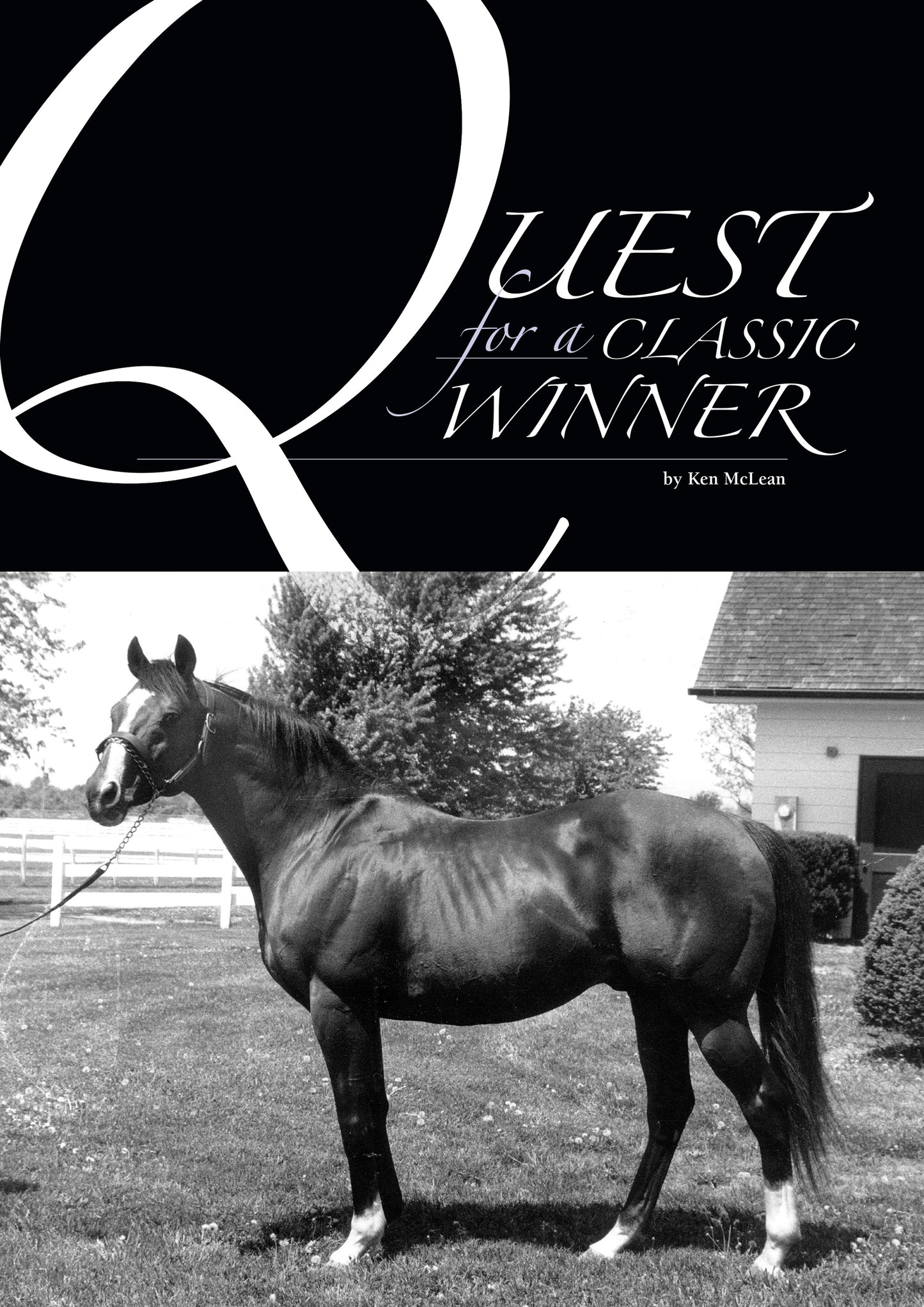 Quest For A Classic Winner